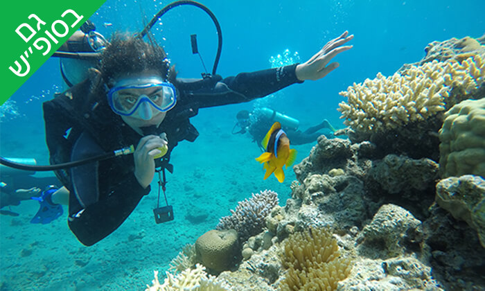 צלילה באתר אלמוגים עם אקווה סטאר, אילת